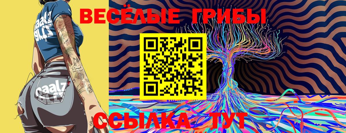 Псилоцибиновые грибы GOLDEN TEACHER Ипатово