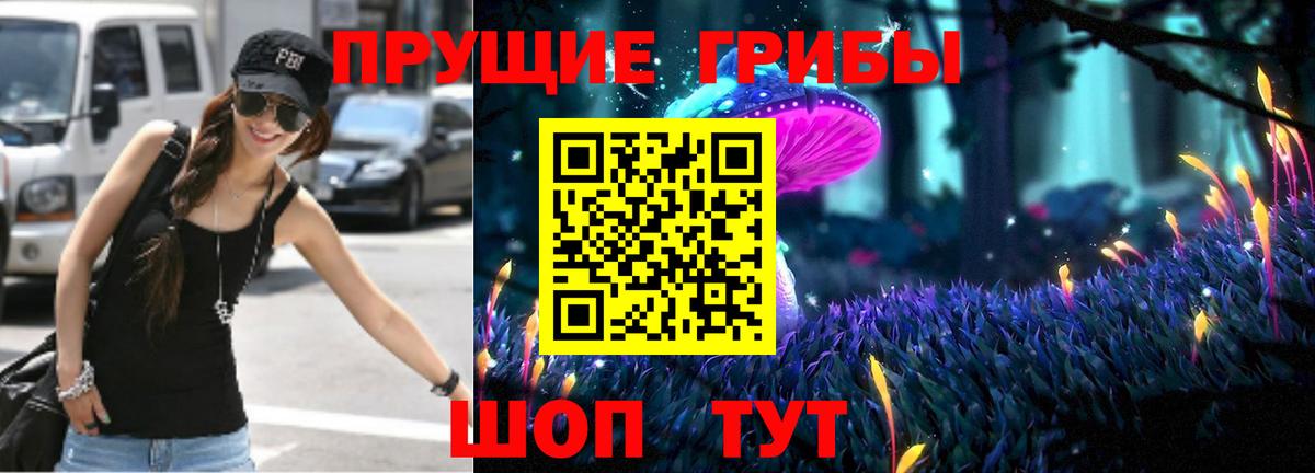Ипатово  Галлюциногенные грибы Cubensis  Галлюциногенные грибы прущие грибы  Вход с VPN 